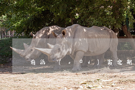 前沿財(cái)富逾期會(huì)被起訴嗎