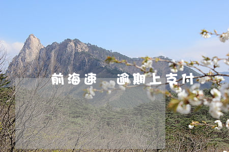 前海速貸逾期上支付寶