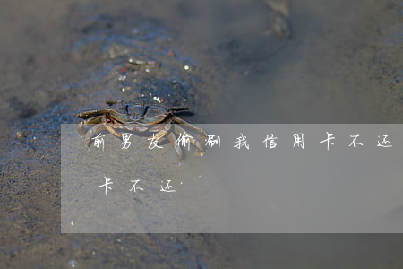 前男友偷刷我信用卡不还(前男友偷刷我信用卡不还)