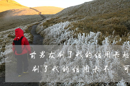 前男友刷了我的信用卡起訴有用么-前男友刷了我的信用卡不還可以報(bào)警嗎