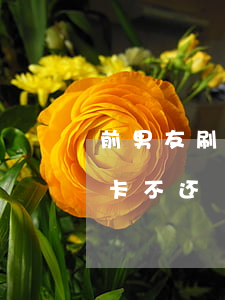 前男友刷信用卡不还怎么办(前女友刷我信用卡不还)