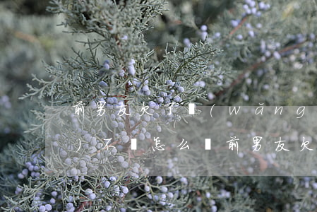 前男友欠了網(wǎng)貸6萬(wàn)不還怎么辦(前男友欠我6萬(wàn)不還怎么辦)