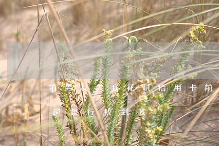 前男友欠我花唄信用卡(前男友欠了信用卡不還,銀行找到我)