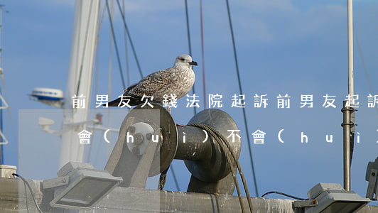 前男友欠錢法院起訴 前男友起訴我還錢,法院會(huì)不會(huì)受理