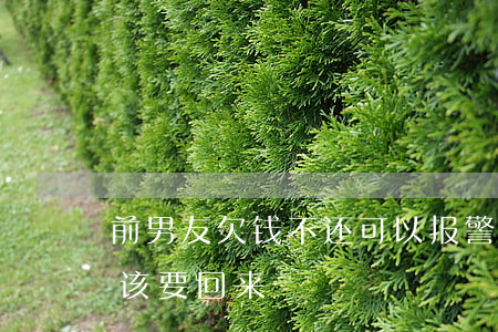 前男友欠钱不还可以报警吗(前男友欠钱该不该要回来)