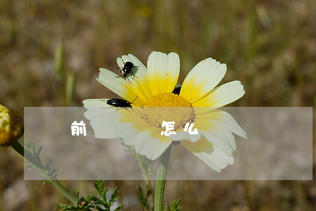 前臺掛賬怎么掛