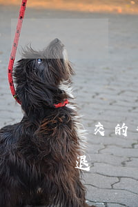 剛交的律師費可以退嗎(律師費什么情況可以退)