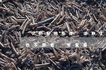 剛交的男朋友花唄逾期了(男朋友花唄逾期了也不愿意問家里要錢)