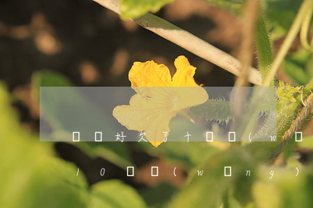 剛剛好欠了十萬網(wǎng)貸怎么辦(欠10萬網(wǎng)貸怎么辦)