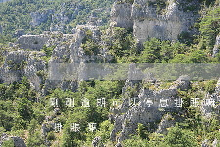 剛剛逾期可以停息掛賬嘛（剛剛逾期可以停息掛賬嘛）