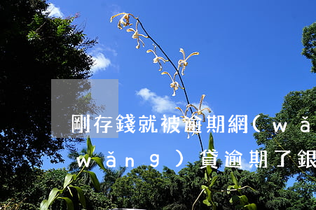 剛存錢就被逾期網(wǎng)貸扣走(網(wǎng)貸逾期了銀行卡的錢會被自動扣嗎)