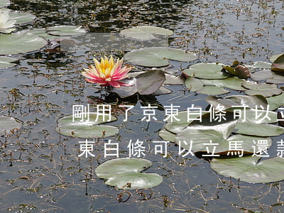 剛用了京東白條可以立馬還款嗎-剛用了京東白條可以立馬還款嗎安全嗎