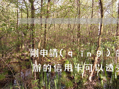 剛申請(qǐng)的信用卡能透支多少(剛辦的信用卡可以透支多少)