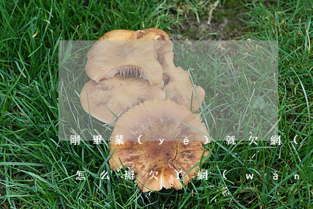 剛畢業(yè)就欠網(wǎng)貸五萬怎么辦(欠了網(wǎng)貸五萬怎么辦)