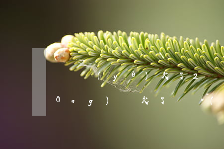 剛畢業(yè)欠了2萬(wàn)網(wǎng)貸(欠了兩萬(wàn)網(wǎng)貸)