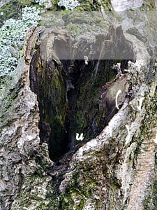 剛結(jié)婚的男人出軌離婚后會(huì)后悔嗎(結(jié)婚前出軌過(guò)的男人最后都怎么樣了)
