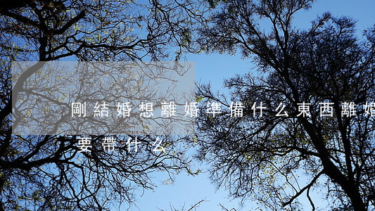剛結婚想離婚準備什么東西(離婚了再結婚需要帶什么)