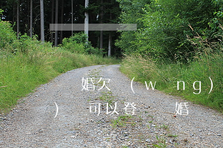 剛結婚欠網(wǎng)貸(欠網(wǎng)貸可以登記結婚嗎)