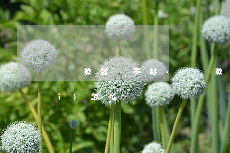 剛貸款就還不起-剛貸款就還不起會(huì)怎么樣