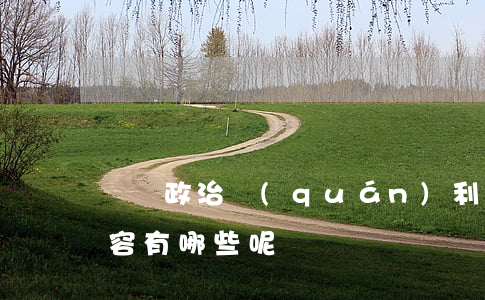 剝奪政治權(quán)利的內(nèi)容有哪些呢