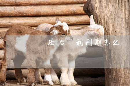 剝奪政治權利刑期怎么計算的