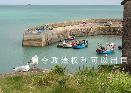 剥夺政治权利可以出国吗？