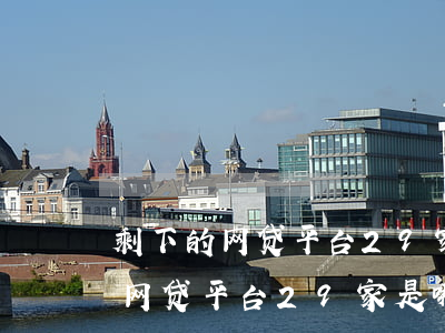 剩下的网贷平台29家是哪29家-剩下的网贷平台29家是哪29家呢
