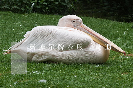 剪掉吊牌衣服還能退嗎