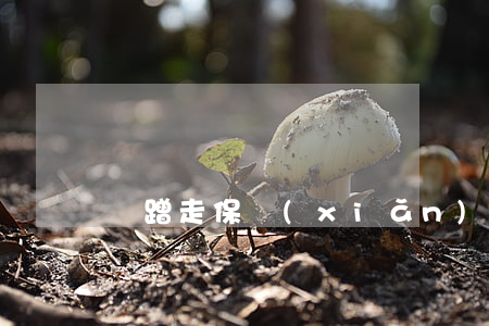 剮蹭走保險(xiǎn)還是私了