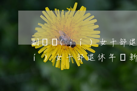 副處級(jí)女干部退休年齡(副處級(jí)女干部退休年齡新規(guī)定)