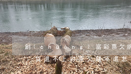 創(chuàng)富彩票欠網(wǎng)貸還不上(彩票欠錢不還怎么處理)