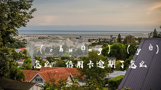 創(chuàng)業(yè)信用卡逾期怎么辦(信用卡 逾期了怎么辦)