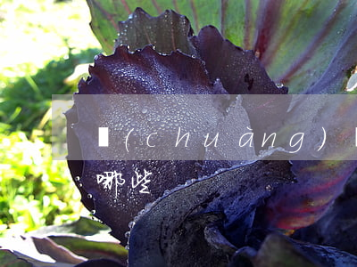 創(chuàng)業(yè)合同糾紛有哪些