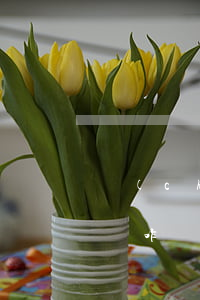 創(chuàng)業(yè)失敗無力償還咋辦(創(chuàng)業(yè)失敗了該怎么辦)