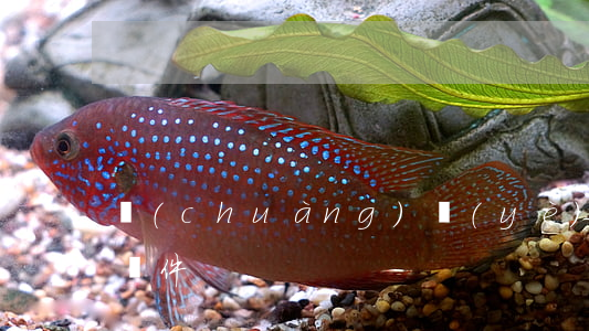 創(chuàng)業(yè)板股票上市條件