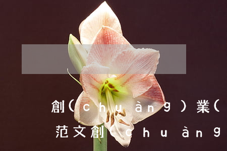 創(chuàng)業(yè)貸款申請書范文(創(chuàng)業(yè)資金申請書范文)