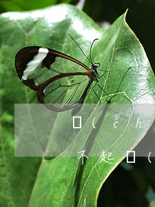 創(chuàng)業(yè)銀行貸款還不起(創(chuàng)業(yè)銀行貸款還不起)