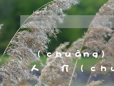 創(chuàng)為律師事務(wù)所人員簡介(創(chuàng)興律師事務(wù)所)