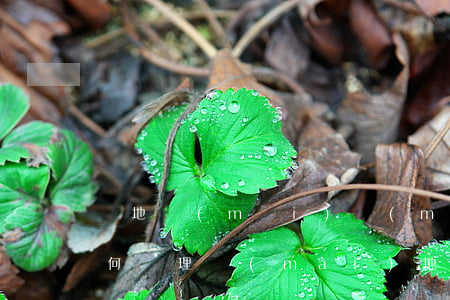 劃地買(mǎi)賣(mài)合同糾紛如何處理(賣(mài)地合同怎么寫(xiě)不違法)