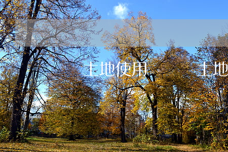劃撥土地使用權(劃撥土地使用權價格)