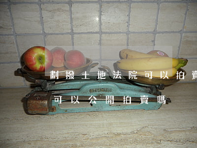 劃撥土地法院可以拍賣嗎(劃撥土地上的房屋可以公開拍賣嗎)