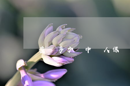 劃痕險多少錢(中國人保劃痕險多少錢)