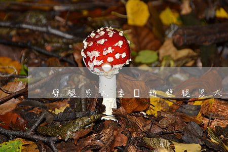 劈腿男人要離婚(劈腿男人要離婚)