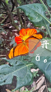 劉丹律師解答了我信用卡逾期(因判刑導(dǎo)致信用卡逾期)