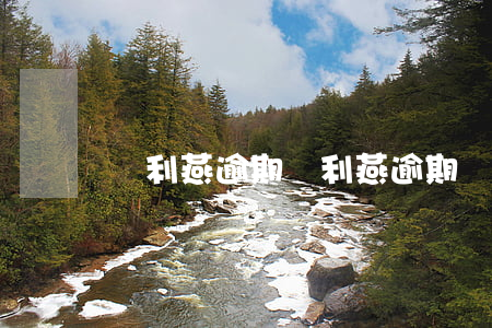 劉利燕逾期(劉利燕逾期)