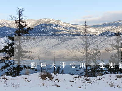 劉琳天津信用卡逾期(劉琳天津信用卡逾期)