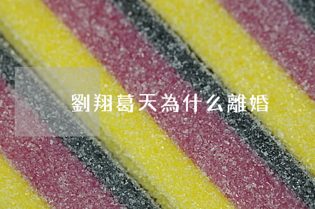 劉翔葛天為什么離婚