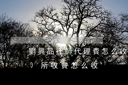 劉興品律師代理費怎么收取(律師事務(wù)所收費怎么收)