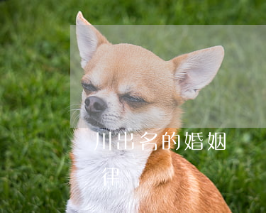 劍川出名的婚姻糾紛律師(劍川出名的婚姻糾紛律師)