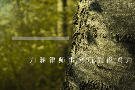 力澜律师事务所靠谱吗(力澜律所处理欠款)